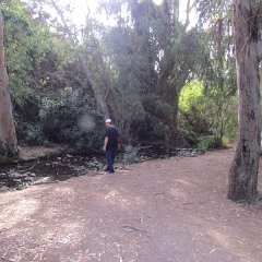 IMG_6236