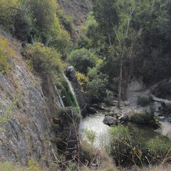 IMG_6243