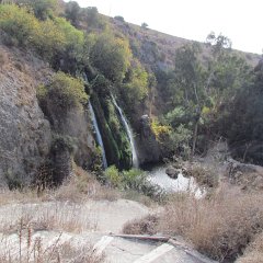 IMG_6245