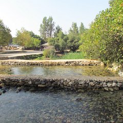 IMG_5849