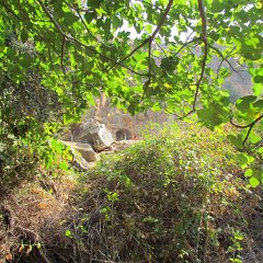 IMG_5851