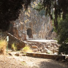 IMG_5852
