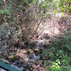 IMG_5858
