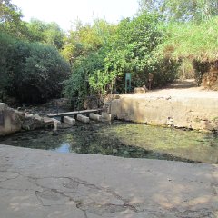 IMG_5859