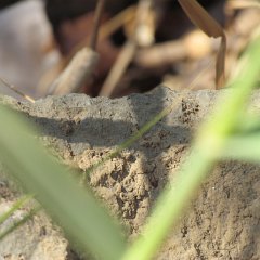 IMG_5860