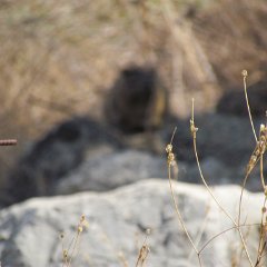 IMG_5864