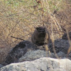IMG_5865