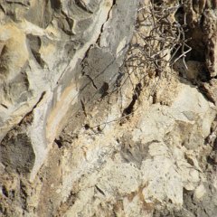 IMG_5867