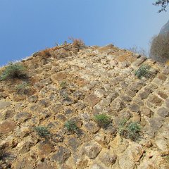 IMG_5868