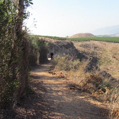 IMG_5908