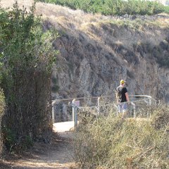 IMG_5909