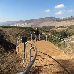 IMG_5912
