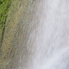 IMG_5926