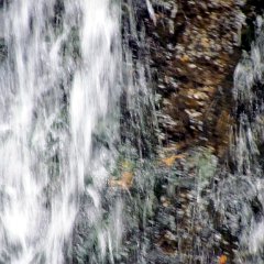 IMG_5875