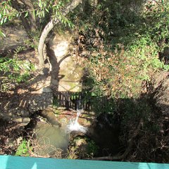 IMG_5890