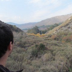IMG_6274