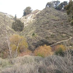IMG_6276