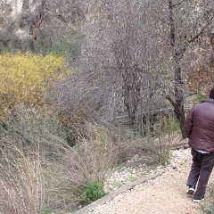 IMG_6283