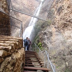 IMG_6288