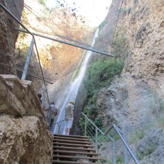 IMG_5553