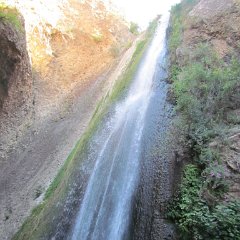 IMG_5554