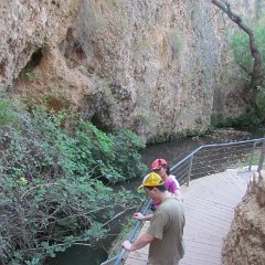 IMG_5556
