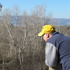 IMG_5339
