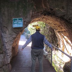 IMG_5341