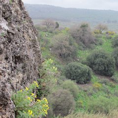 IMG_5352
