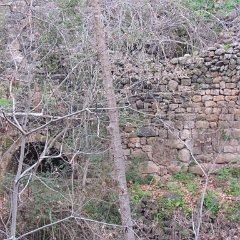 IMG_5367