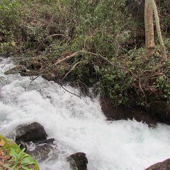 IMG_5370