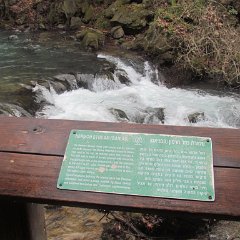 IMG_5380