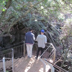 IMG_5392