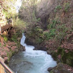 IMG_5399