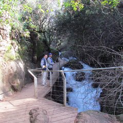 IMG_5400