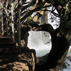 IMG_5403
