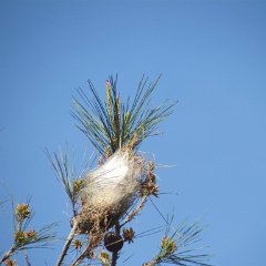 IMG_5451