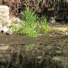 IMG_6147