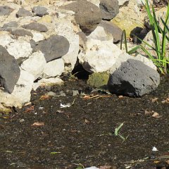 IMG_6148