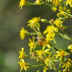 IMG_6170