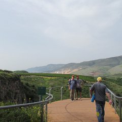 IMG_6512