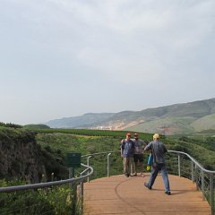 IMG_6513