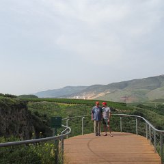IMG_6514