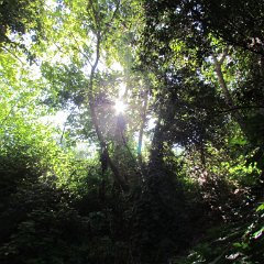 IMG_6705