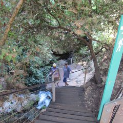 IMG_6711