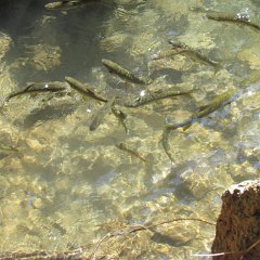 IMG_6716