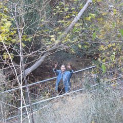 IMG_7019