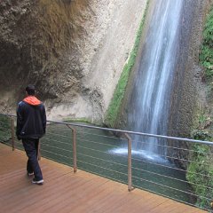 IMG_7022