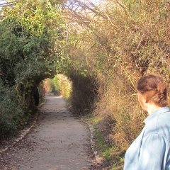 IMG_7026