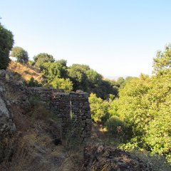 IMG_6830